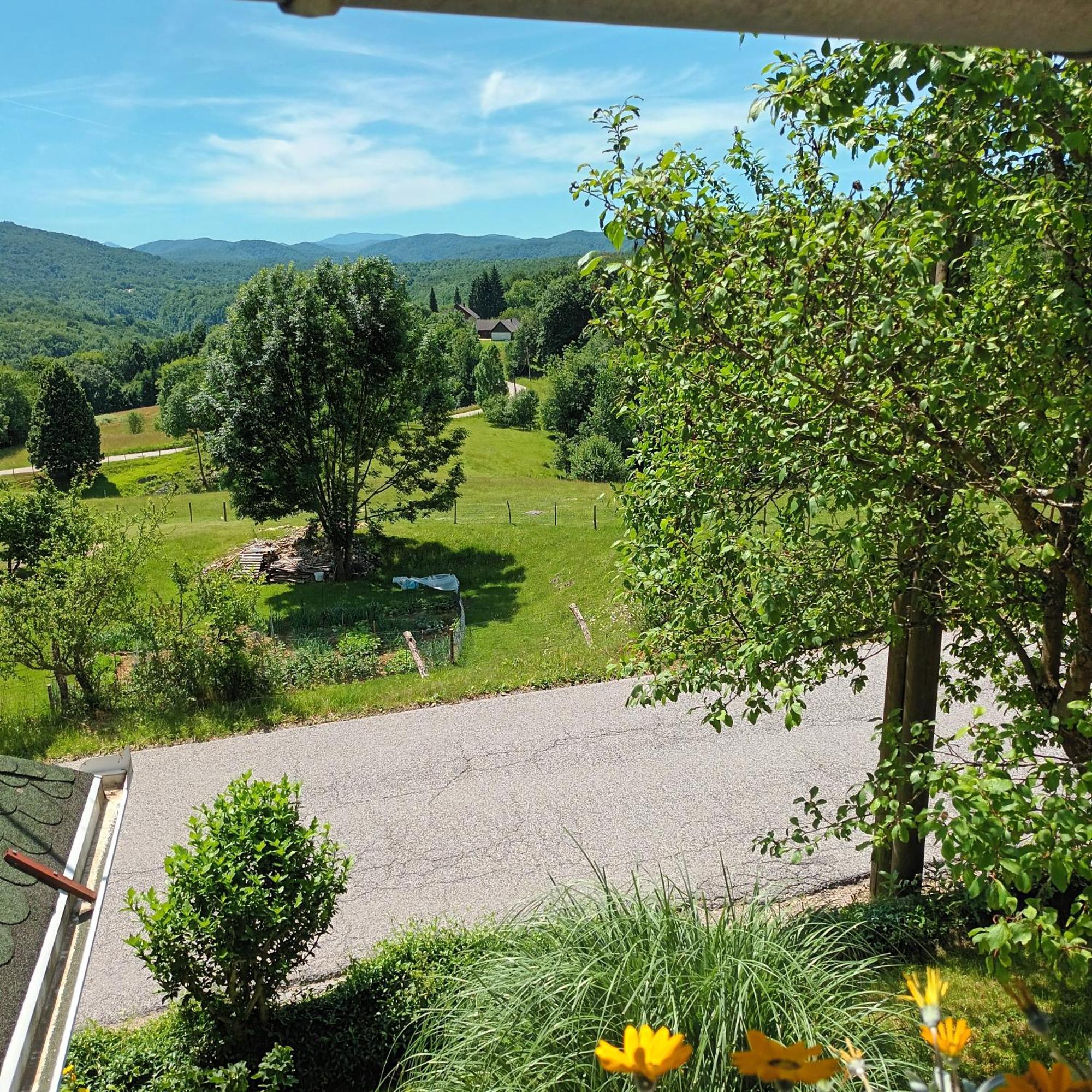 Guest House Štefanija Poljanak Extérieur photo